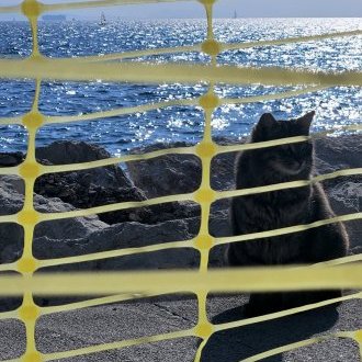 Étrange intrication