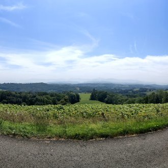 Campagne de dénigrement