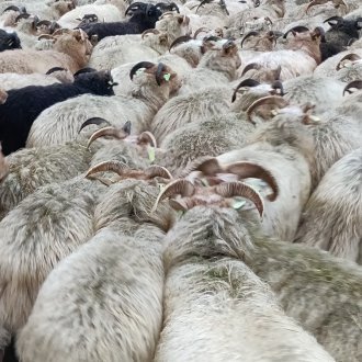 Marche inexorable vers un avenir radieux