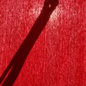 Termes violemment improbatifs