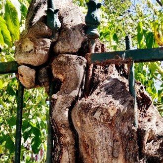 Donner sens à un méfait tragique