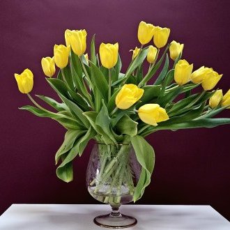 En pleine effervescence