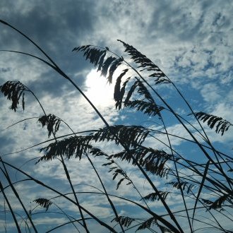 Vagabondage interieur
