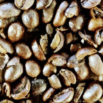 Déniaiser le présent