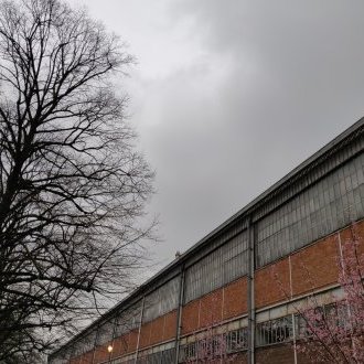 Mettre au monde