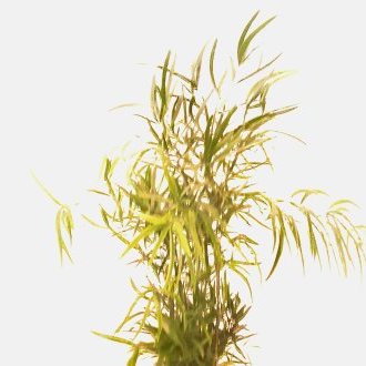 Saisir le moment, le geste, l'attitude, la situation