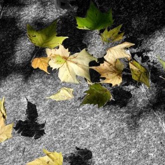 Troubles proprioceptifs