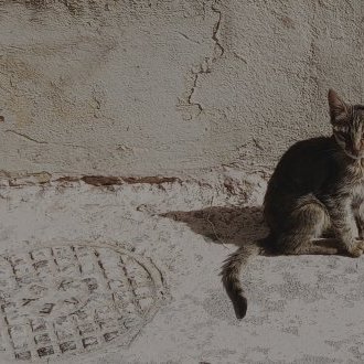 Seule la mort laisse à jamais une place vide