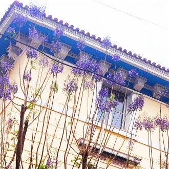 Mariage apophantique