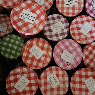 Enfin trouver ma place en ce monde