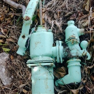 Comme un nénuphar géant dans une pièce d'eau royale