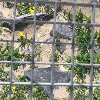 This is not my first prison break