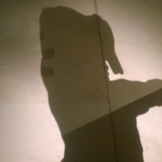 Force de proposition.