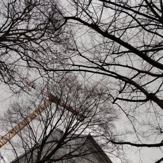 Chatouillement tenace