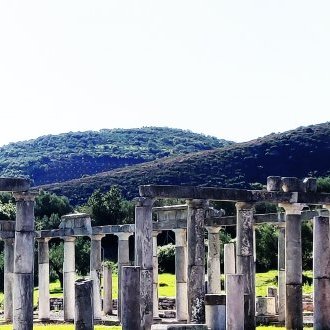 Anguilles sous roche
