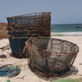 Voir mûrir les fruits du renoncement