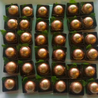 Le fonds de l'affaire