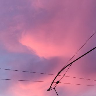 La quête de l'émergence D