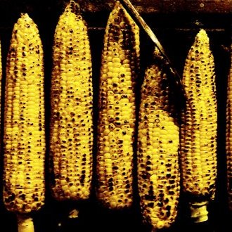 Gaillardise incongrue