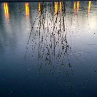Une exécution sommaire par un peloton de désœuvrés.