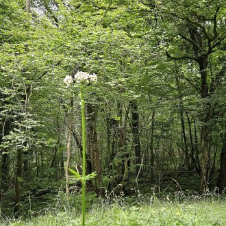 Un temps à lambiner, traînailler, flânocher, rêvasser