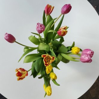 Écartelées entre deux illusions