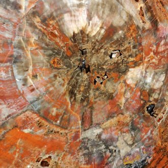 Sous l'effet de l'effroi