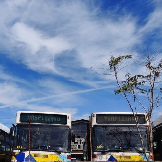 Trois pelés et un tondu