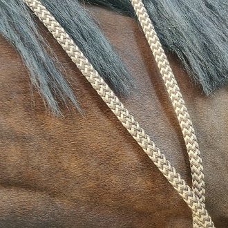 Folles sous-jacences