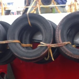 Partagés entre l'effroi et l'allégresse