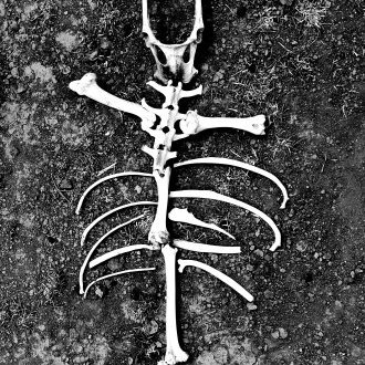 Pandiculer dès potron-minet