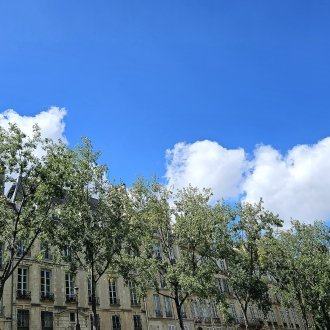 Ne pas chercher que la lumière. Du moins, la chercher partout.