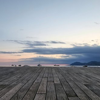 Entendez- vous le chant du cygne ?