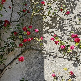 À moitié vide ou à moitié plein ?