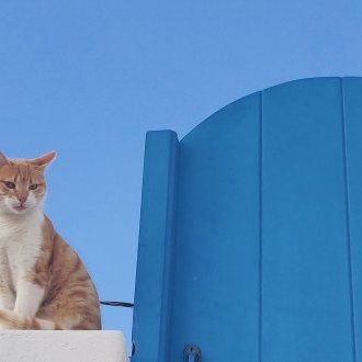 Chasse aux sorcières