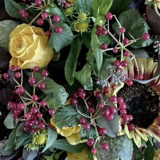 Abriter une cacophonie