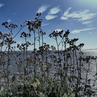 Énergies renouvelables