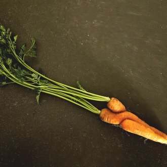 Nonsense sentimental