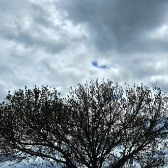 Vers l'étendue infinie