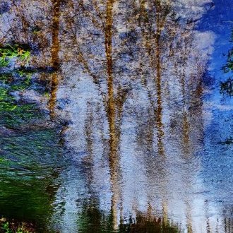 La voix d'un silence subtil