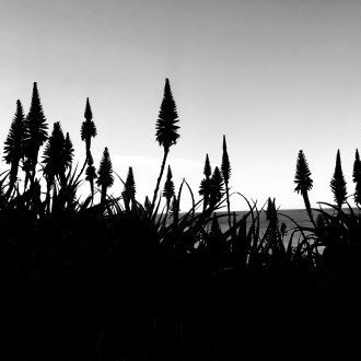 Capacité de nuisance