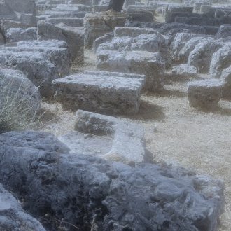 Salébreuse étamine