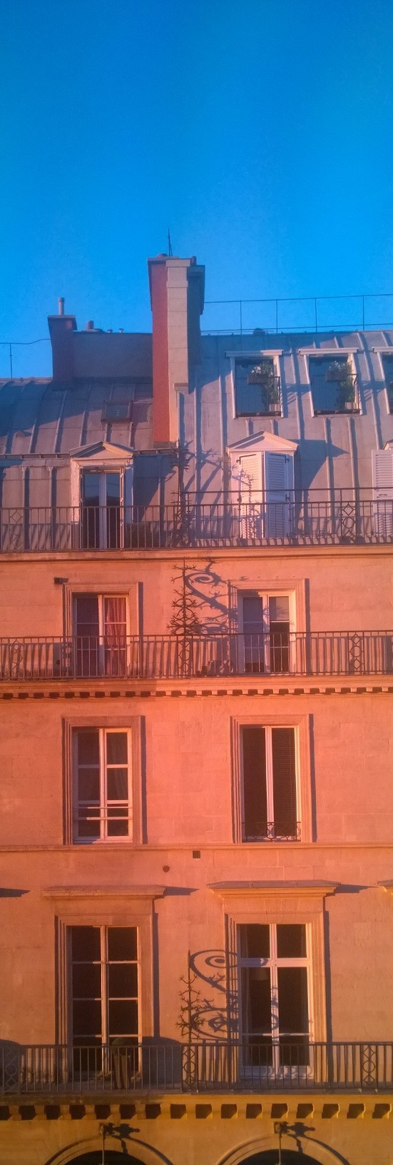 En chair et en os